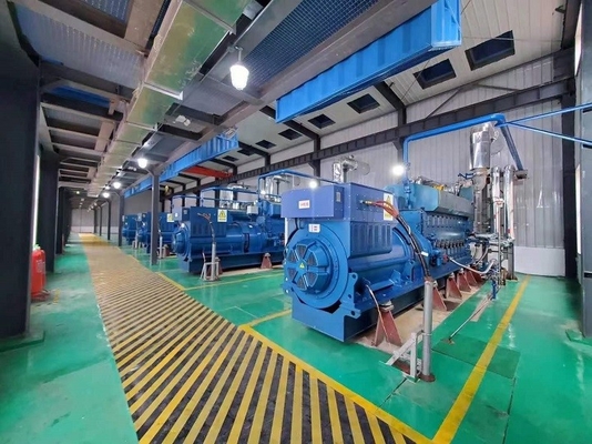 Goede prijs. Van het het Aardgasbiogas van 1000KW 1MW van de de Generatorreeks de Krachtcentrale Open Container online