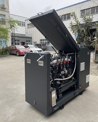 Goede prijs. Hoog rendementce Goedgekeurde Micro- Biogaschp Mini Cogenerator Set Unit System 16kw 20kva online