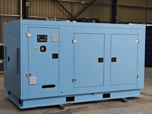 Goede prijs. Premium High Efficiency Low Noise 160kW 200KVA 200KW 250KVA aardgas CHP generator online