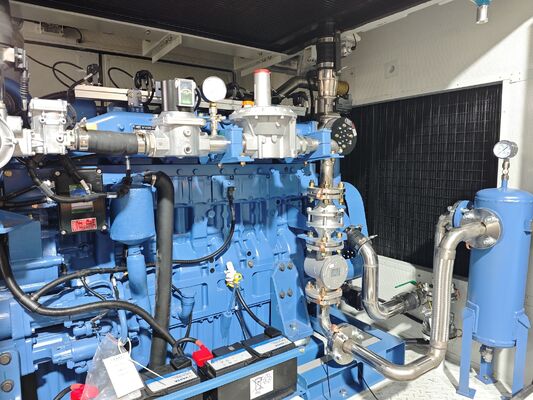 Goede prijs. 400kw Yuchai Motor Regenbestendig geluidsdicht Container Natuurgas Generator Set Genset online