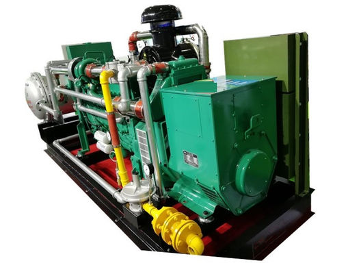 Goede prijs. 300KVA 250KW 60Hz Biogas CHP, afstandscontrole CHP cogeneratiesystemen online