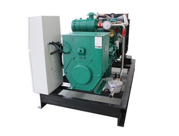 Goede prijs. Weerbestendige het Biogaschp van 50HZ 230V, CHP van de Biogasbrandstof Hitte en Macht BHKW 25KW 30KVA online