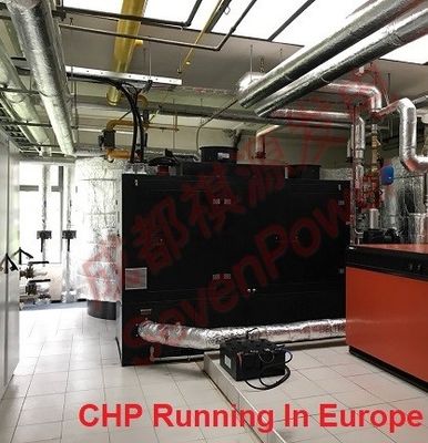 Goede prijs. Continu 50Hz 100 kW aardgasgenerator online