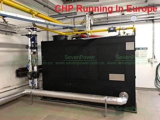 Goede prijs. Milieuvriendelijke Stille het Aardgasgenerator van 250KW 300KVA online